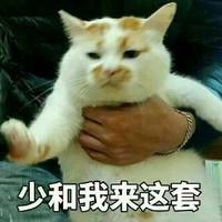 猫咪 手指 手链儿 少和我来这套