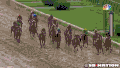 赛马 horse racing 比赛 泥地