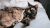 动物 萌宠 猫