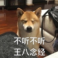 萌宠 汪星人 不听不听 王八念经 呆萌 搞怪