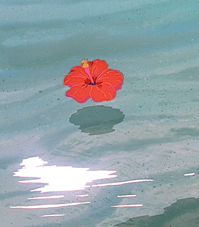 花瓣 水流 唯美 日光