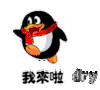 卡通 企鹅 围脖 我来啦dry