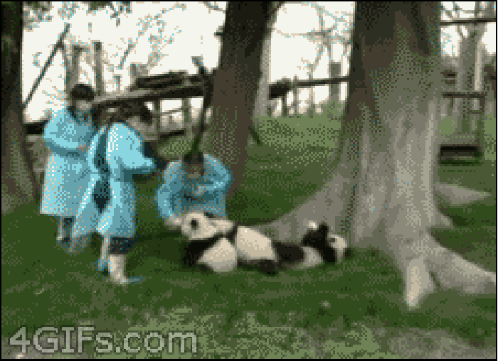熊猫 可爱 萌萌哒 喝奶
