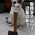 猫 喵星人 萌宠 是我拿不动刀了 还是你飘了 soogif soogif出品