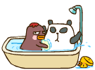 一起洗澡 熊猫 搞笑 可爱