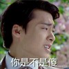 你是不是傻 歪头 皱眉 花草
