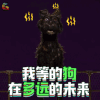 犬之岛 首领 我等的狗在多远的未来 单身狗 soogif soogif出品