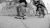 滑冰 城市 黑色 黑色和白色 风格 街道 纽约 照片 完美 马克冈萨雷斯 skatejeunes krooked