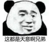 暴漫 熊猫头 这都是天意啊 害羞 搞怪 逗