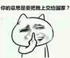 金馆长 猫咪 中指 你的意思是要把我上交给国家