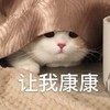 萌宠 猫星人 让我康康 无奈 呆萌 可爱