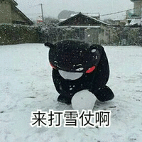 熊本熊 低头 红脸蛋 来打雪仗啊