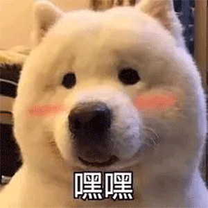 萌寵 汪星人 害羞 嘿嘿嘿 搞怪 呆萌