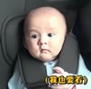本特利 萌娃 我也要看 搞笑 逗 可爱