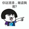 蘑菇头 斗图 群聊 敢盗我图