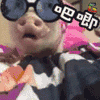 猪 萌宠 soogif soogif出品 好吃 吧唧