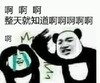 暴漫表情包 熊猫头 整天就知道啊啊啊啊啊 沙雕 搞怪 逗趣