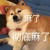 萌宠 汪星人 麻了 彻底麻了 搞怪 逗