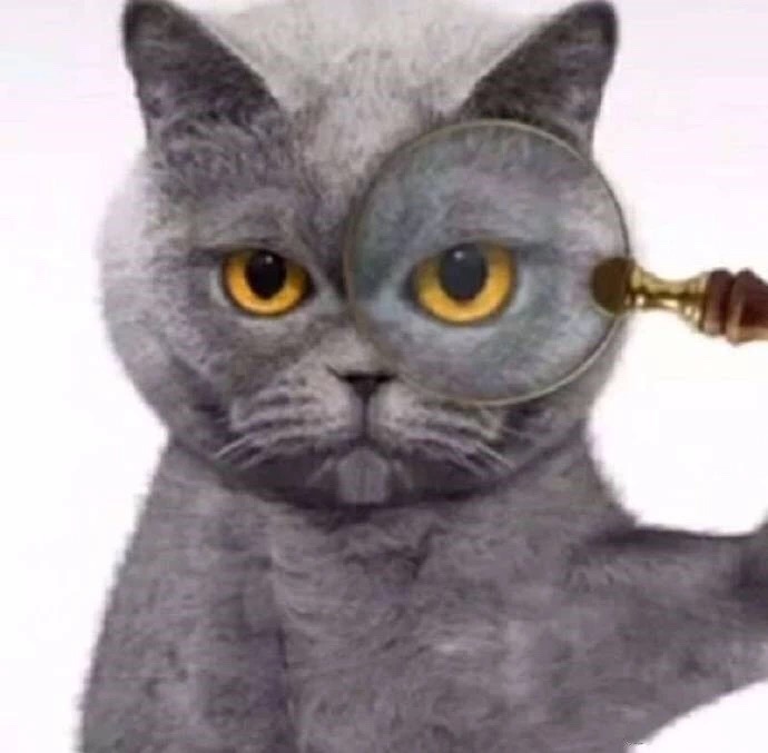 抖音 抖音蓝猫 蓝猫 社会猫 抖音