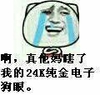 金馆长 流泪 伤心 啊真他妈瞎了我的24K纯金电子狗眼