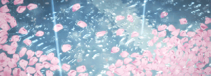 动画 花瓣 水里 粉色