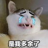 萌宠 猫星人 是我多余了 伤心 无辜 可怜