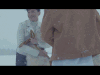 羊 可爱 动物 寒冷