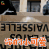 一条狗的使命 贝利 狗狗 你的小可爱上线 soogif soogif出品