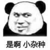 熊猫头 是啊 小杂种 斗图 搞笑 猥琐