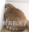 萌宠 猫星人 我去自闭了 难受 呆萌 可爱