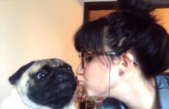 狗狗 搞笑 亲吻 嫌弃 呆萌