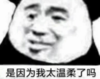 暴漫 文字表情包 是因为我太温柔了吗 搞笑 逗 魔性