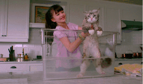 九条命 动物 小女孩 搞笑 洗澡 猫 萌 表情包