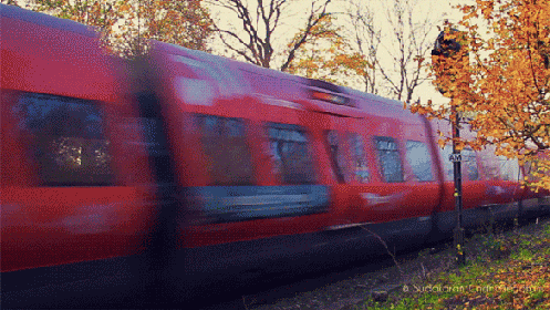 火车 行驶 红色 秋天
