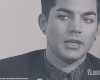 亚当·兰伯特 Adam+Lambert 欧美歌手