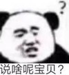 熊猫头 文字表情包 说啥呢宝贝 搞笑 沙雕 搞怪