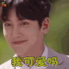 奇怪的搭档 池昌旭 卢智旭 我可爱吗 卖萌 soogif soogif出品