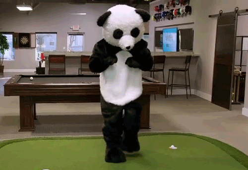 熊猫 跳舞 可爱 表演