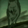 狼 打斗 咆哮 可怕