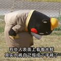 熊本熊 可爱 呆萌 斗图 有些人表面上看着光鲜，其实内裤自己缩成丁字裤了