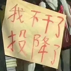 文字 我不干了 投降了 搞怪 逗