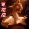 猫 要抱抱