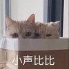 萌宠 猫星人 小声比比 思考 呆萌 可爱