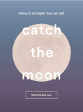 catch moon 抓住月亮