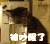 猫咪 被吵醒了 醒了