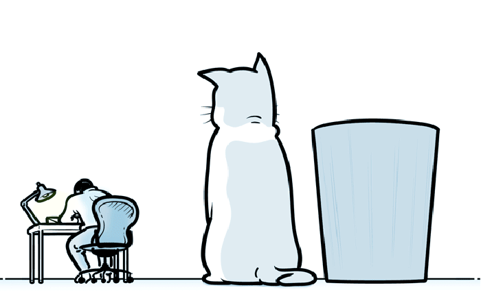 猫猫 小帮手 动漫 动画