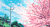 菁华浮梦 落花 绿树 天空
