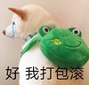 萌宠 汪星人 我打包滚 我走了 呆萌 搞怪