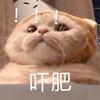 萌宠 喵星人 吓死我了 我的妈呀 呆萌 憨憨