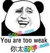 你太弱了 金馆长 暴笑 熊猫